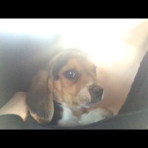 Meet your Posher, Jill